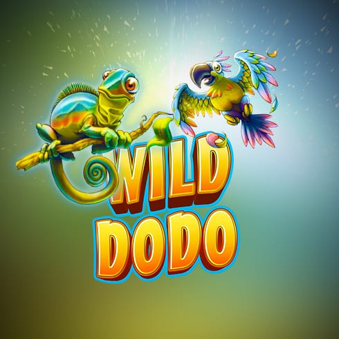 Wild Dodo