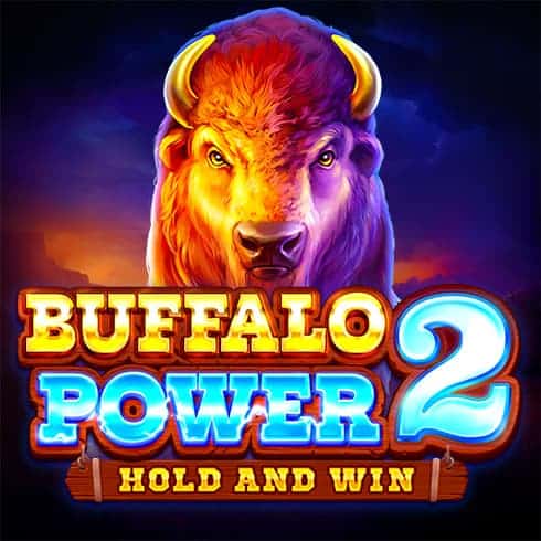 Buffalo Power 2: H&W