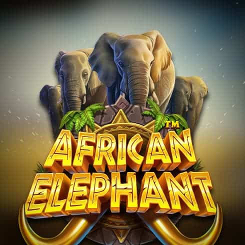 African Elephant [Buy feature]