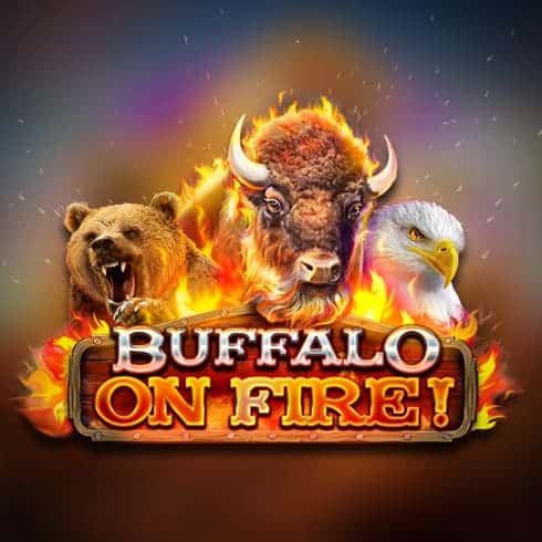 Buffalo on fire
