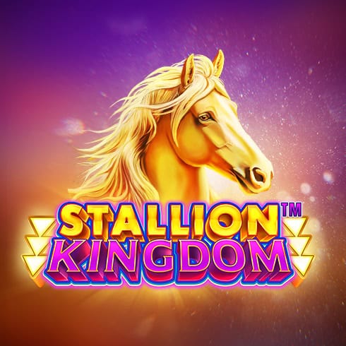 Stallion Kingdom