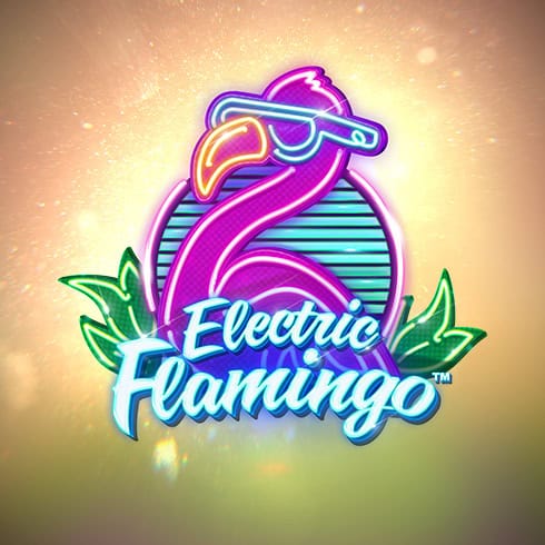 Electric Flamingo