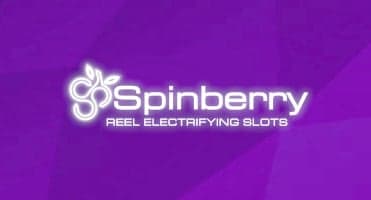 Spinberry